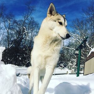 Meet your Posher, Megan